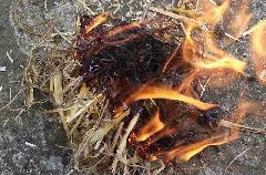 flame2_10.jpg