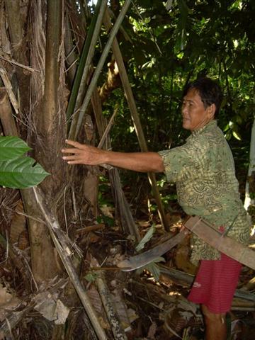 firebamboo1.jpg