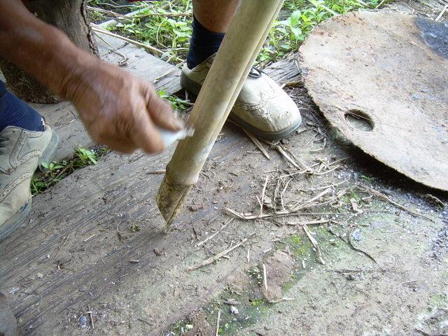 firebamboo10.jpg