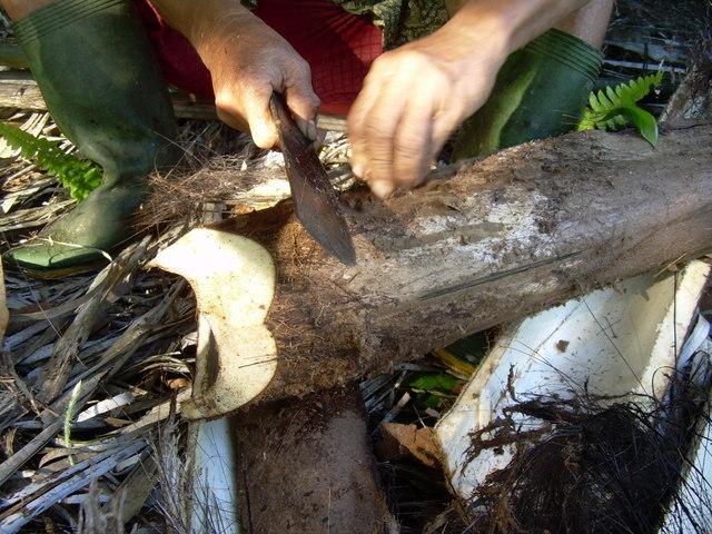 firebamboo3.jpg