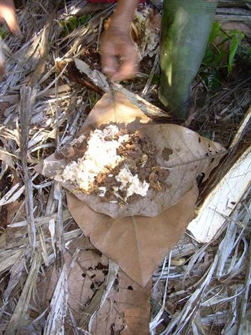 firebamboo4.jpg