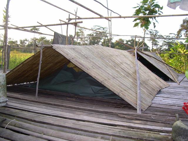 firebamboo7.jpg
