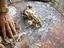 thumb_firebamboo9.jpg