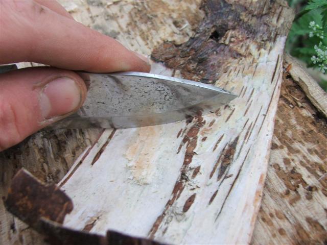 firesteelandbirchbark1.jpg