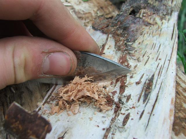 firesteelandbirchbark2.jpg