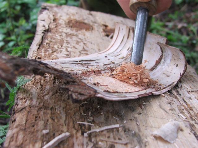 firesteelandbirchbark3.jpg