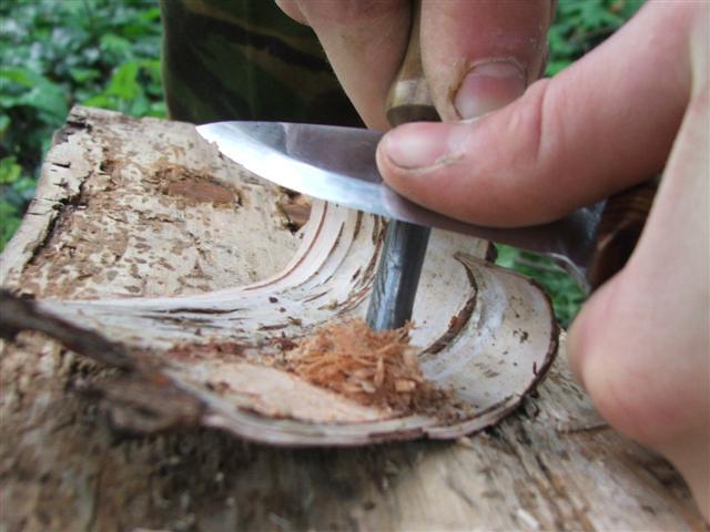 firesteelandbirchbark4.jpg