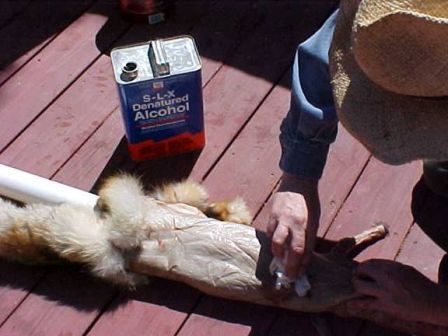 foxhide4.jpg