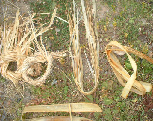 cord10.jpg
