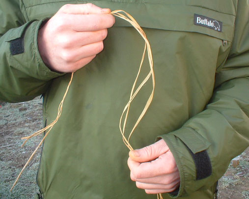 cord11.jpg