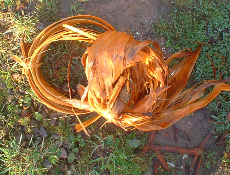 cord8.jpg