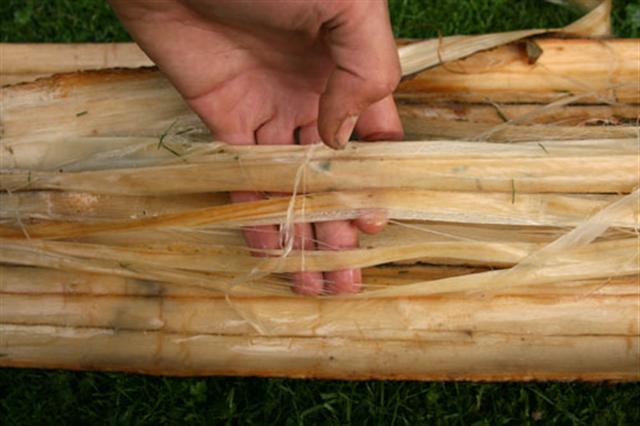 limebarkcordage6.jpg