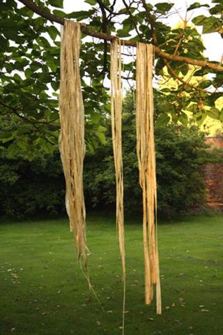 limebarkcordage8.jpg