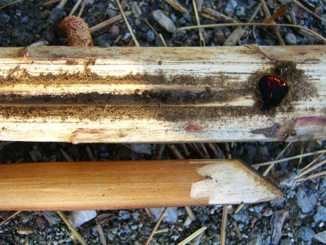 onearmfireplow4.jpg