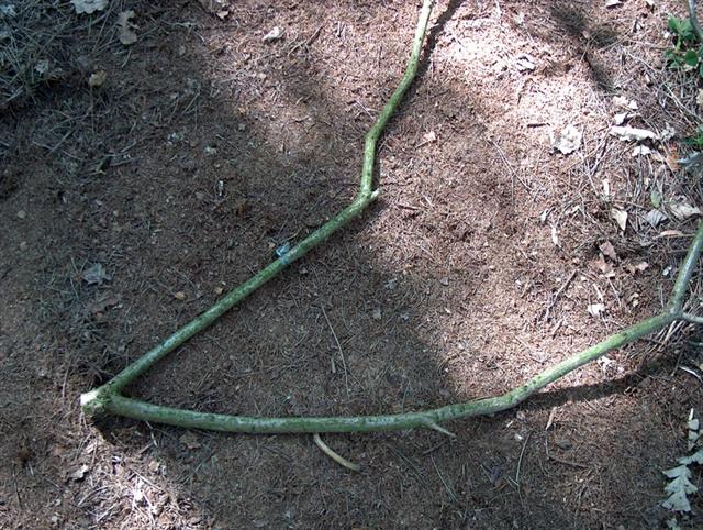 pothanger1.jpg
