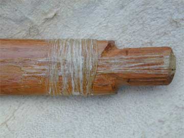 sinew4.jpg