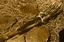 thumb_stonesaw1.jpg