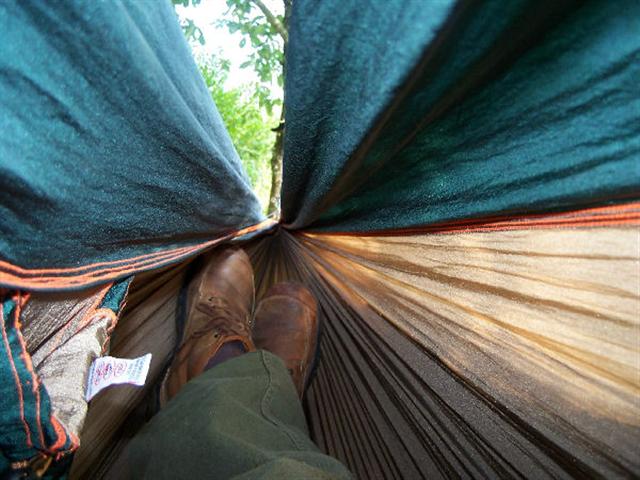 taketothetrees12.jpg