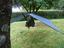 thumb_taketothetrees19.jpg