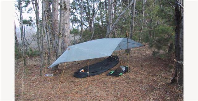 tarp15.jpg