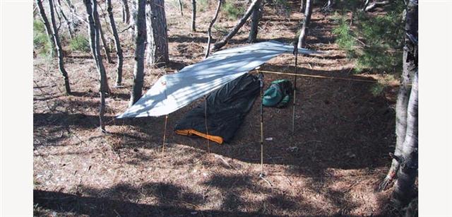 tarp16.jpg