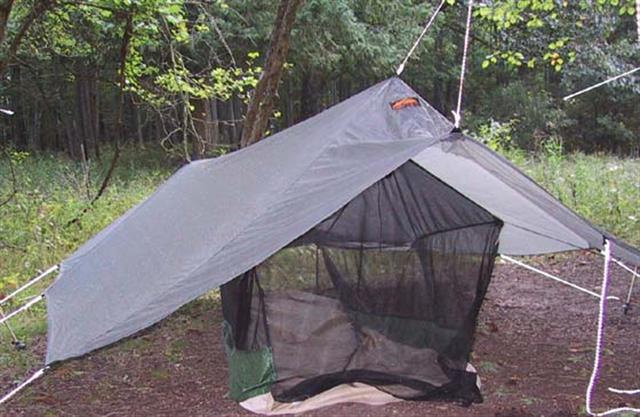 tarp17.jpg
