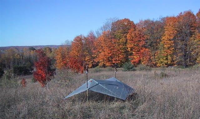 tarp18.jpg