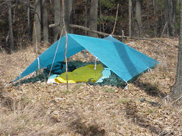 tarp6.gif