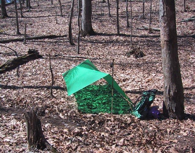tarp7.jpg