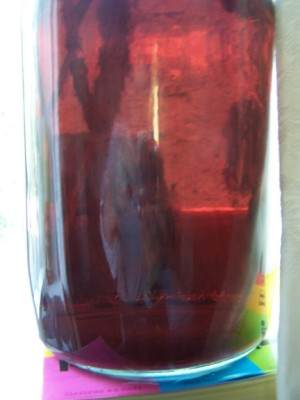 wildwine1.jpg