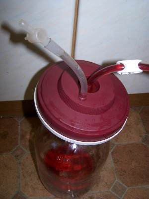 wildwine4.jpg