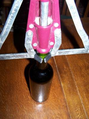 wildwine4.jpg