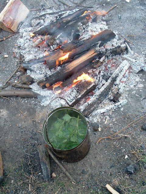 nettle_soup_and_fish6.jpg