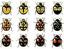 thumb_harlequins.png