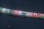 thumb_pine_blight.png