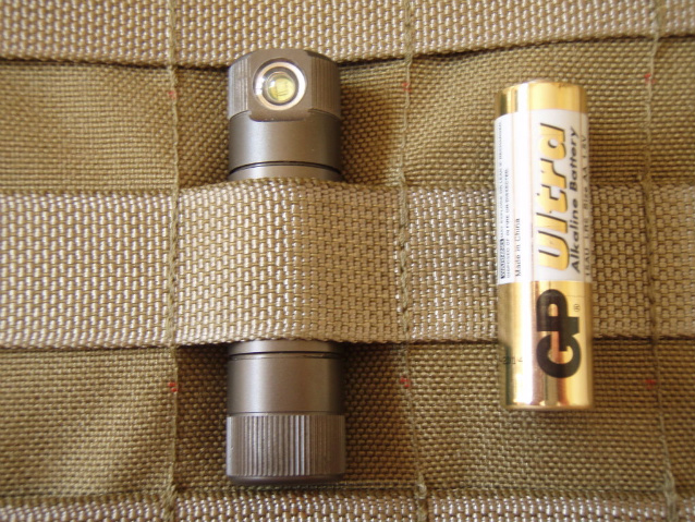 zebralight3.jpg